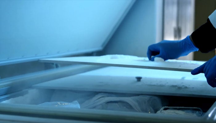 Representational image of a person opening a freezer. — Canva
