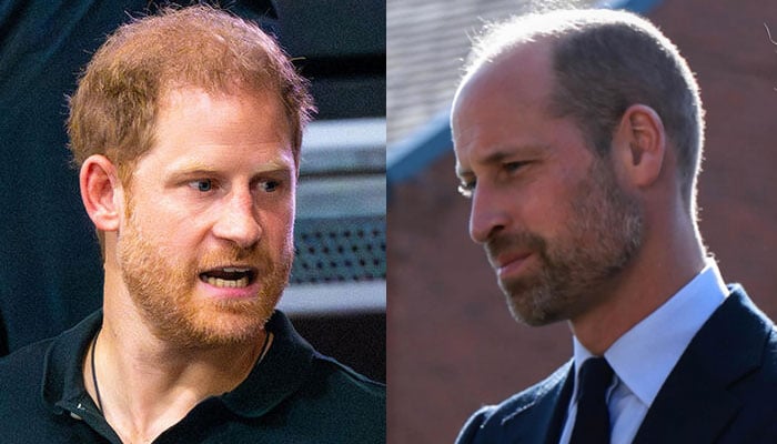Prince Harry’s pleas fall on deaf ears?