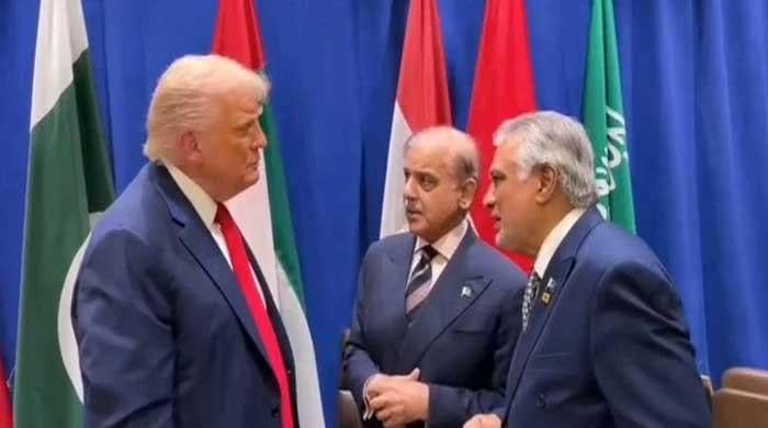 PM Shehbaz to meet President Trump at White House today
