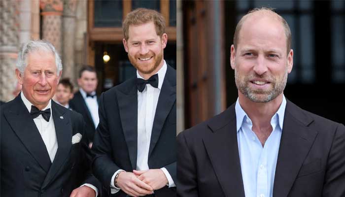 Prince Harry accused of plotting against Prince William and Kate