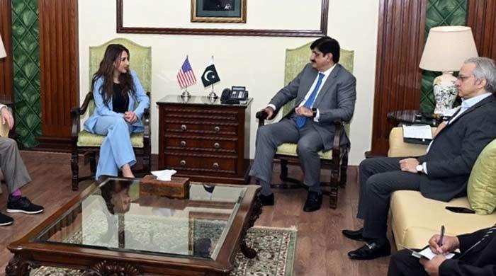 US envoy reinforces economic, security ties during Karachi visit