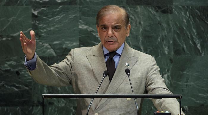 Beyond expectations: How PM Shehbaz elevated Pakistan’s global standing