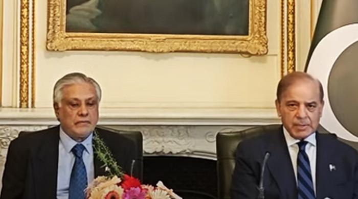 Pakistan part of Trump-led efforts for Gaza peace, says PM Shehbaz