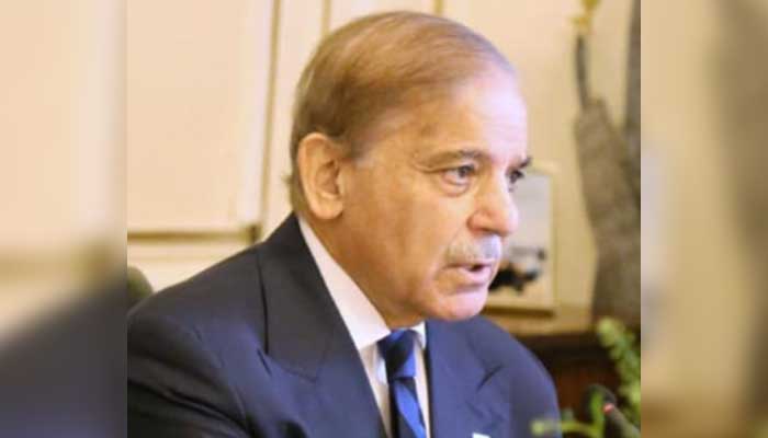 Prime Minister Shehbaz Sharif addresses Overseas Pakistanis based in UK on September 28, 2025. — PID