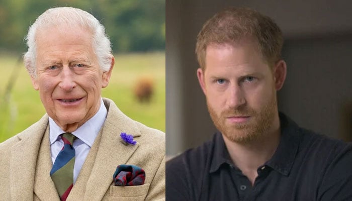Prince Harry has just sparked fears about the future of the monarchy if he’s near it