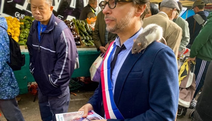 Tails of the city: Paris rats find unlikely political ally