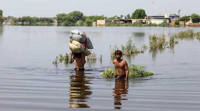 Climate finance will be first casualty of rising global militarism, says expert