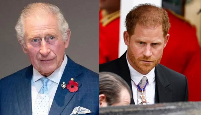Prince Harry leaves King Charles scared and concerned