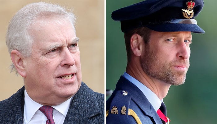 Prince Andrew calls Prince William a spoilt brat who he’s babysat