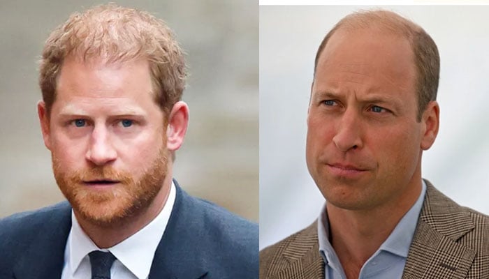 Prince Harry knows Prince William hates him but is ‘thrilled’