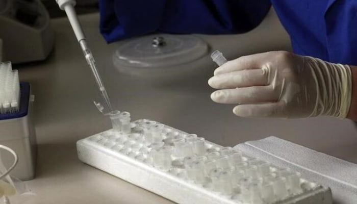 A woman works with human genetic material at a laboratory. — Reuters/File