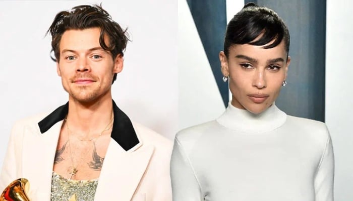 Photo: Harry Styles thinks Zoe Kravitz relationship is unfamiliar territory: Source