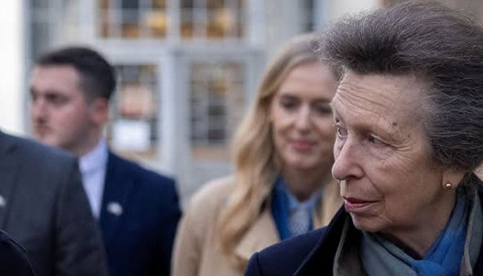 Buckingham Palace releases snaps from Princess Annes meeting with Zelenskyy