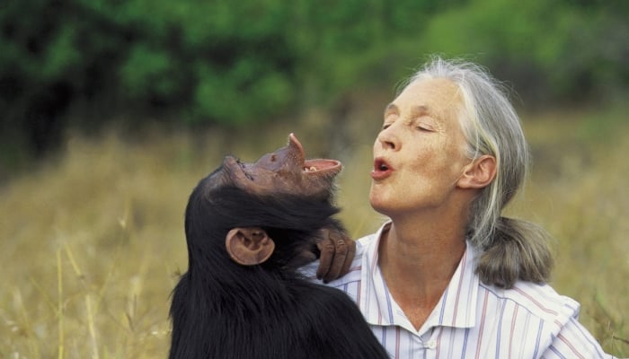 Photo: Jane Goodall passes away at 91