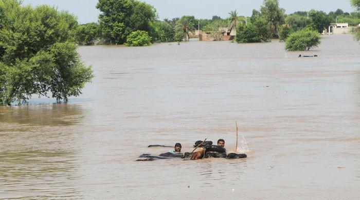 Pakistan suffers Rs371bn flood losses, GDP target cut to 3.9%, IMF told