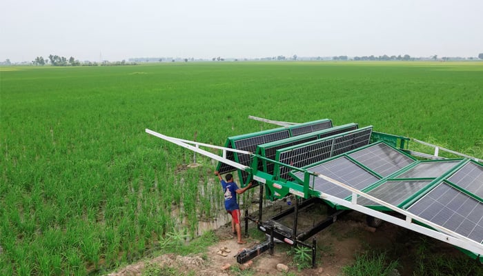 A worker installs a folding solar panel unit, to run a tube well, the motorised pump that taps groundwater, in a rice field in Muridke, Sheikhupura District in Punjab August 12, 2025. — Reuters