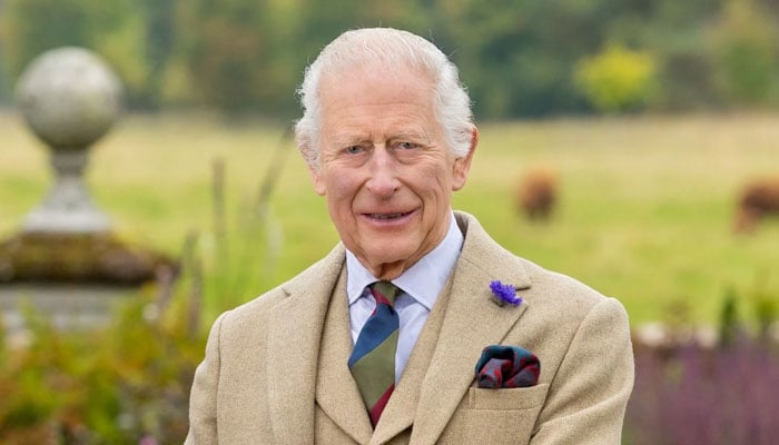King Charles has been outed as the ‘men in grey suit’