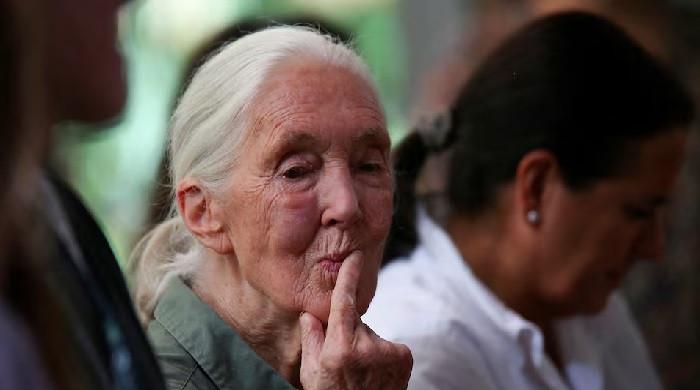‘Conservation giant’: World reacts to ‘chimp whisperer’ Jane Goodall’s death
