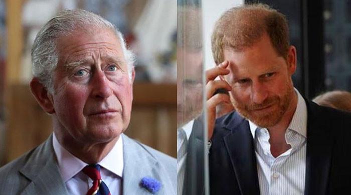 Prince Harry ‘trapped' by royal enemies close to King Charles: Insider