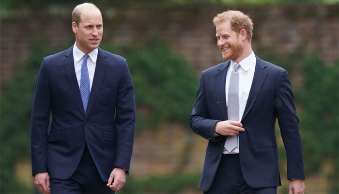 Prince Harry not personally dragging William into court