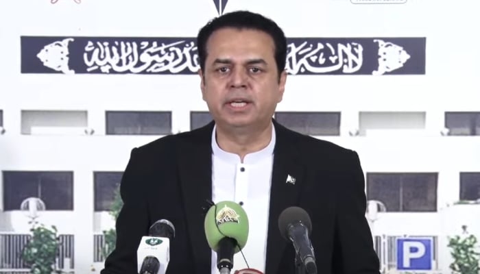 State Minister for Interior Affairs Talal Chaudhry speaks during a media talk in Islamabad, October 3, 2025. — Screengrab via YouTube/Geo News