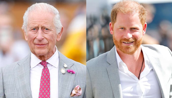 Prince Harry not thrilled over hype of reunion with King Charles
