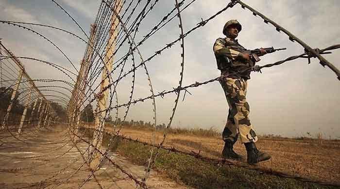 Indian forces kill, injure goats near Zero Point in Tharparkar