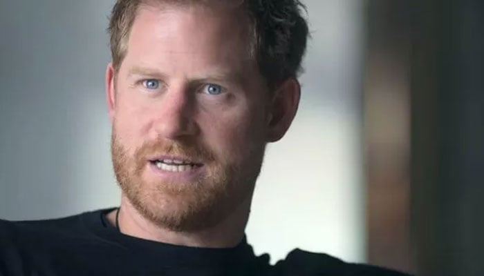 Prince Harry hit with a warning regarding his standing as a loose cannon