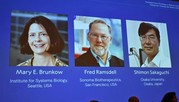 Mary E Brunkow, Fred Ramsdell and Shimon Sakaguchi are awarded this years Nobel Prize in Medicine or Physiology. The Nobel Assembly at Karolinska Institutet announce the Nobel Prize in Physiology or Medicine on October 6, 2025, in Stockholm, Sweden.— Reuters