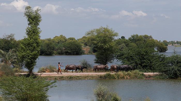 Pakistan, IMF to revise budgetary targets in light of floods' aftermath