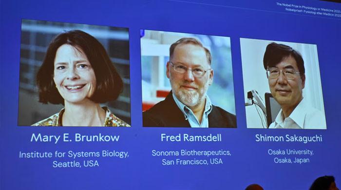 Medicine Nobel to trio who identified immune system's â€˜security guards'