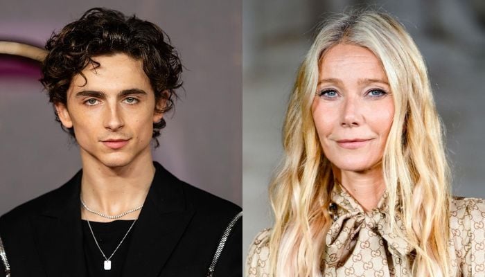 Timothee Chalamet calls Gwyneth Paltrow incredible