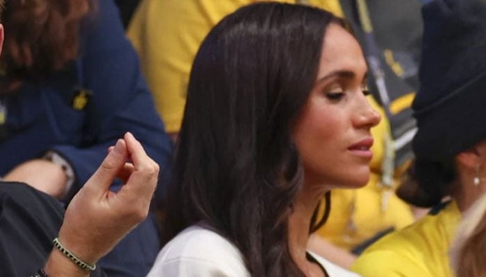 Meghan Markle dragged through the mud over her desperate attempts at reinvention