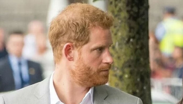 Prince Harry gets called out for his humanitarian side