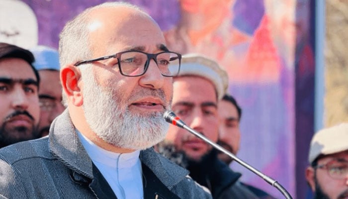 Former senator Mushtaq Ahmad Khan addresses an event. — Radio Pakistan
