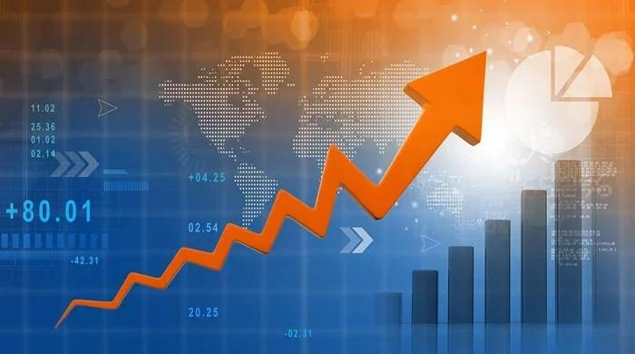 Govt revises GDP growth upward to 3.04% for FY25 Govt revises GDP growth upward to 3.04% for FY25