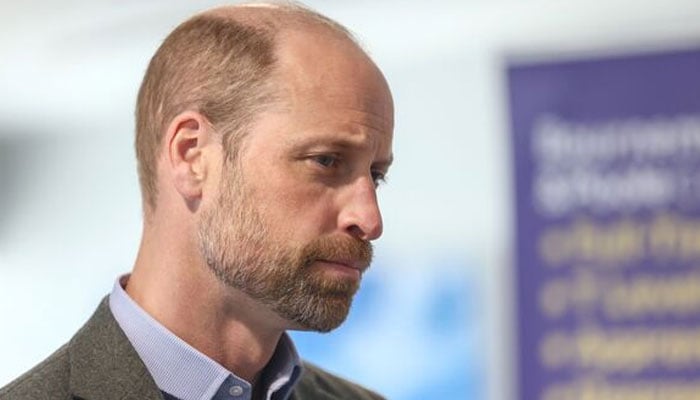 Prince William has been warned against taking a step too far