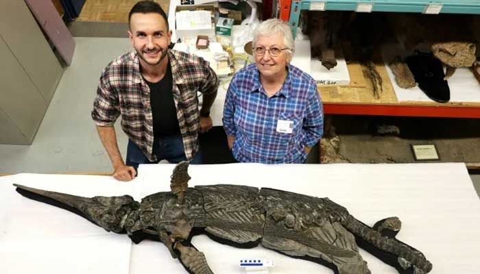 A skeleton found on Britains Jurassic Coast has been identified as a new species of ichthyosaur.— AFP