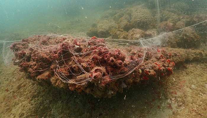 A discarded ghost net covers corals off the coast of Pakistans Astola Island. A marine protected area was created around the island in 2017, but locals say damaging practices such as trawling are still taking place. — Dialogue Earth