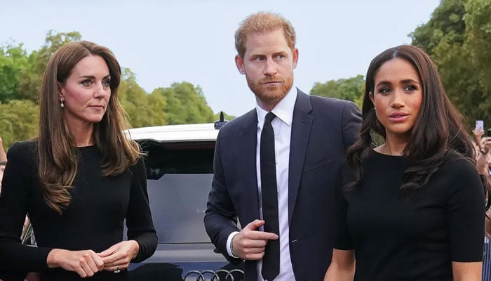 Prince Harry, Kate Middleton bond over shared commitment amid royal feud