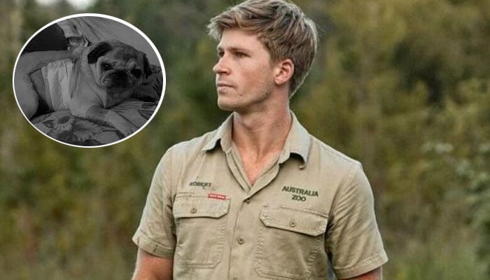 Robert Irwin faces emotional challenge as dog Stella fights cancer