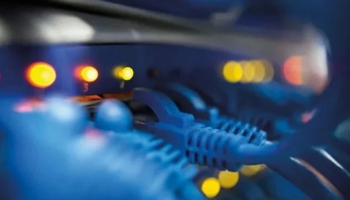 Number of internet cables can be seen plugged into a router. — Reuters/File