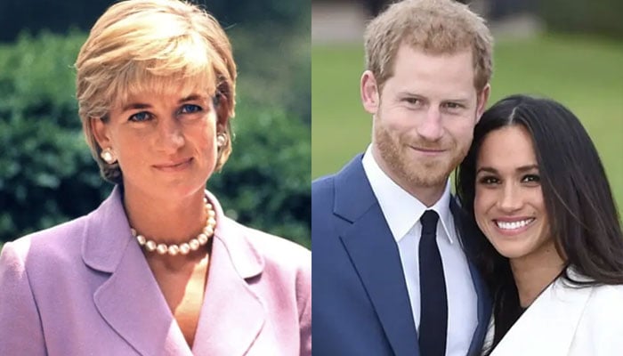 Princess Diana would have guided Harry away from Meghan Markle marriage