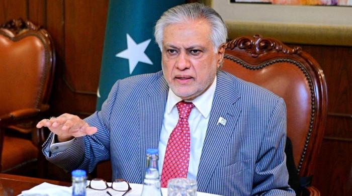 Pakistan elected to UN Human Rights Council image