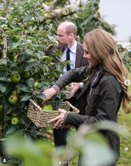 Prince William, Kate gush over Irelands ‘heart of Orchard County