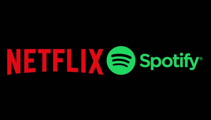 This pictures shows logos of music and video streaming Netflix and Spotify. — Netflix website