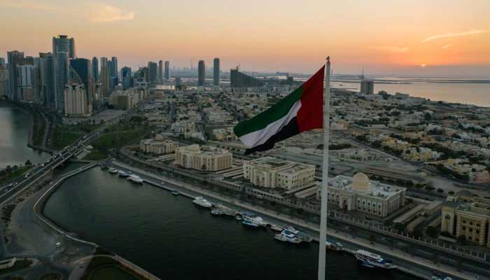 A view of UAEs skyline with countrys flag in the foreground. — Pexels