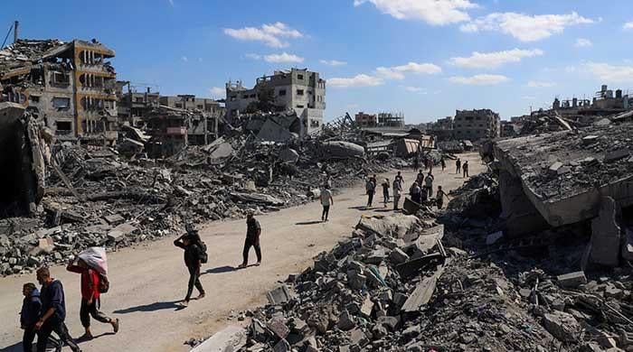 The lamb, the lion, the cage