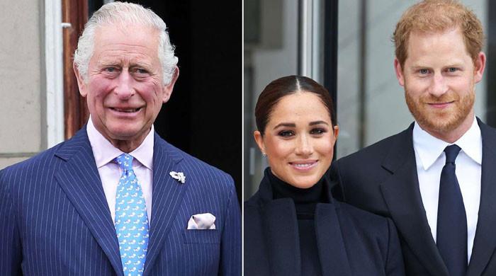 Royal fans react as Meghan Markle supports King Charles, Harry's reconciliation