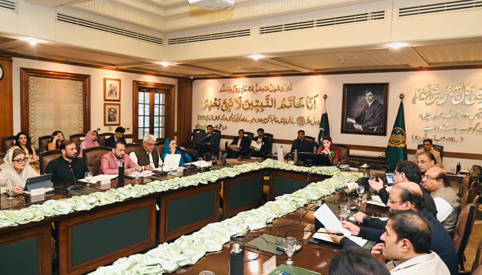 A meeting of provincial ministers chaired by Punjab CM Maryam Nawaz. — X/@MaryamMania